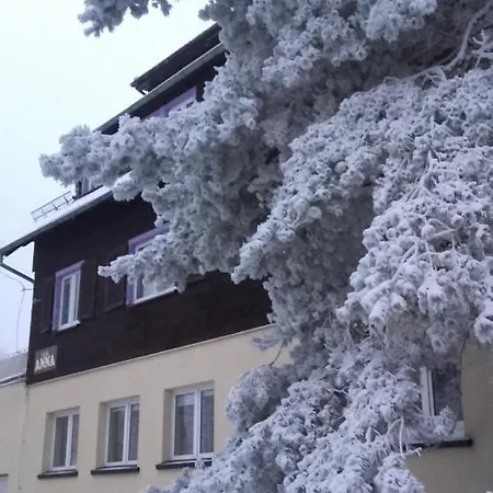 ホームステイ Anna