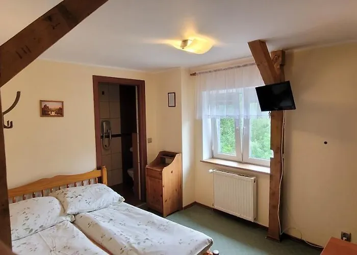 Anna Проживание в семье