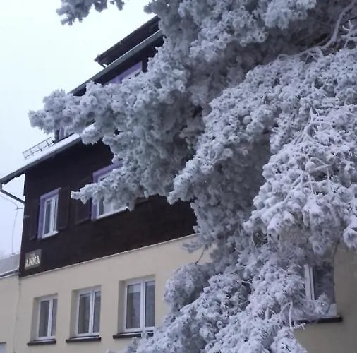 Проживание в семье Anna